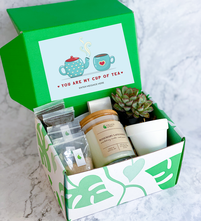 You Are My Cup Of Tea Succulent Gift Box